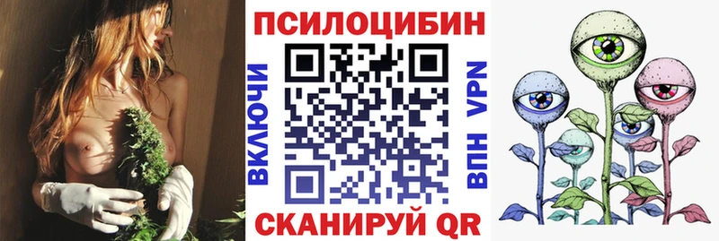 Галлюциногенные грибы Psilocybine cubensis  маркетплейс телеграм  Купино  даркнет сайт 